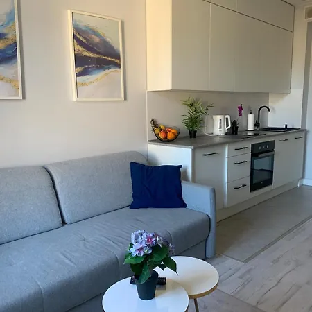 Kilinskiego Street Apartment *