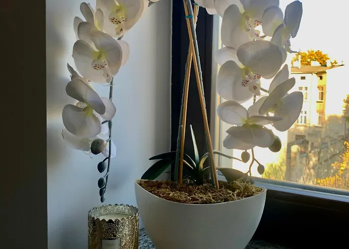 Kilinskiego Street *